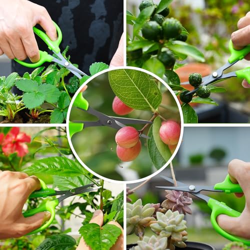 Garden Scissors, 2 PCS, Straight Blade + Curved Blade, 6-in, Easy to Clean | Non-stick Coated Steel Sharp Pruning Shear, Garden Snips for Plants, Herbs, Flowers in Grow Tent and Hydroponics - style: Curved 1pcs + Straight 1pcs