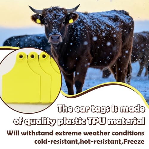 Blank Cattle Ear Tags 100PCS TPU Oversize 4.1x3 Inch Livestock Tags | Identification Tags for Cows Calves Cattle Goats Sheep Pigs Hog Fade Resistant Farm Animal Management (Yellow) - style: Yellow