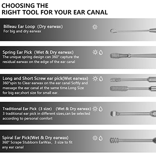 Hion 8 Pcs Ear Wax Removal Kit,Professional Double-Headed Ear Pick Earwax Removal Tools,316L Stainless Steel Ear Cleaner Curette with Cleaning Brush and Storage Box,Suit for Kid Adult(Silver) - color: Silver