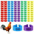 100 PCS Chicken Leg Bands, 16mm Plastic Chicken Bands, Color-Coded Numbered Poultry Identification Rings for Chickens Ducks Medium Birds, Easy Snap on Ankle Band for Flock ManagementManagement