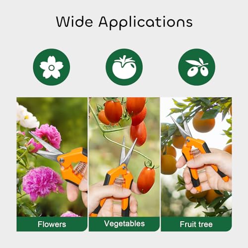 GROWNEER 3 Packs 6.5 Inch Pruning Shears Gardening Hand Pruning Snips Gardening Scissors with Straight Stainless Steel Precision Blades - style: Orange