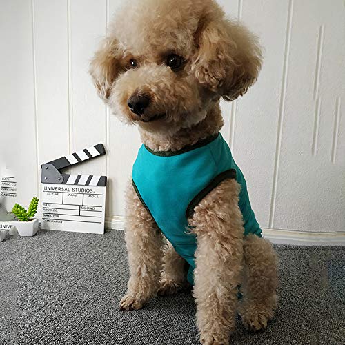 Dog’s Recovery Suit Post Surgery Shirt for Puppy, Wound Protective Clothes for Little Animals(Blue-xs) - color: blue, size: X-Small