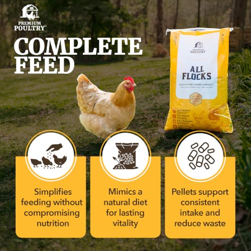 All Flock Feed Pellets, 18% Protein, 40lb, Made in USA | Pre & Probiotics, Supports Growth & Digestion, Ideal for Chickens, Ducks, Geese, Turkeys & Game Birds - size: 40lb (Pack of 1), style: All Flocks