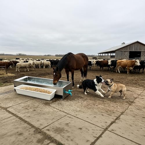 Automatic Livestock Water & Feed Trough with Float Valve for Cattle Horse | 25Gal Stainless Steel Automatic Waterer 19Gal Plastic Larger Waterer & Feeding Trough for for Horse Goat Cattle Hog Pigs Dog - color: 25 Gallons+1pc Feeder, size: 48.3"L x 13.7"W