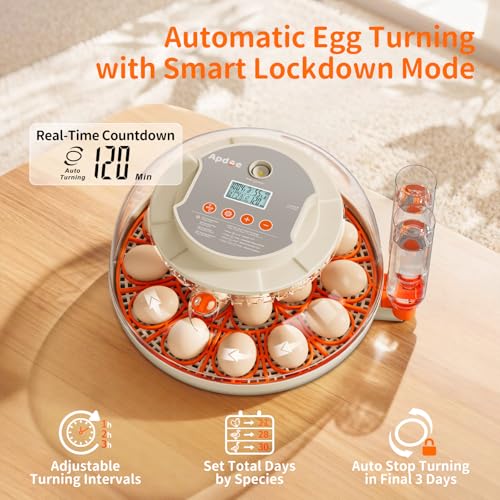 APDOE Egg Incubators for Hatching Eggs, Temperature and Humidity Control, Automatic Egg Turning, Egg Candler, External Water Bottle, Air Vent, for Chicken, Duck & Quail Eggs, 18 Eggs - color: White + Orange, size: 18 Eggs + 8 Large Eggs
