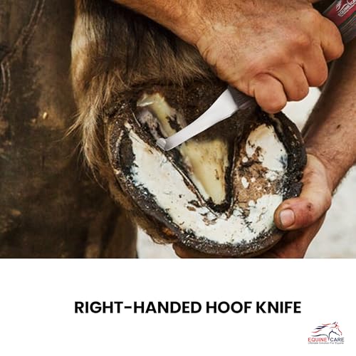 Right-Handed Farrier Hoof Knife, Horses Goats Sheep, Red Handle | Farrier hoof knife for horses, goats, sheep and cattle; J2 stainless steel curved blade; red layered handle. - style: Right-Handed