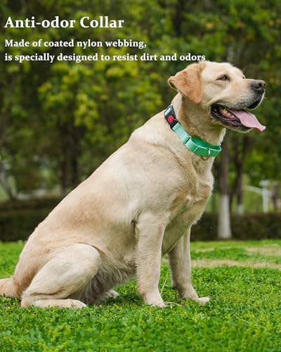 Waterproof Martingale Collar for Dogs,Easy to Clean Dog Collars with Safety Quick Release Buckle,Rubber Collar for Medium Large Dogs Walking Training (Mint Green, L (19.6-25.9inch)) - color: Mint Green, size: L (19.6-25.9inch)