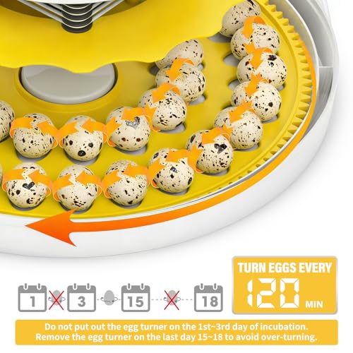 Quail Egg Incubator for Hatching 40 Quail Eggs with Automatic Turner | and Humidity Control,Small Brooder, Outdoor Poultry Egg Incubator, Suitable for Parrot Canary and Other Bird - color: Yellow