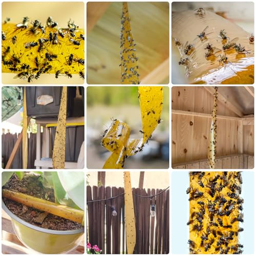 Outdoor Fly Trap Indoor Hanging 60pk, Sticky Fly Strips Tape Paper for Home | Flies Ribbon Rolls for Home Kitchen, Fruit & Bug Gnat Catchers for Inside, Killer for Winged Insect - size: 60 pack