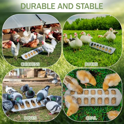 Potchen 2 Pcs Slide-top Poultry Feeder Durable Galvanized Metal Chicken Feeder Trough with Removable Top Trough Multi-Hole Tray for Pigeon Quails Duckling Birds Duck Chicken(12 Inch) - size: 12 Inch