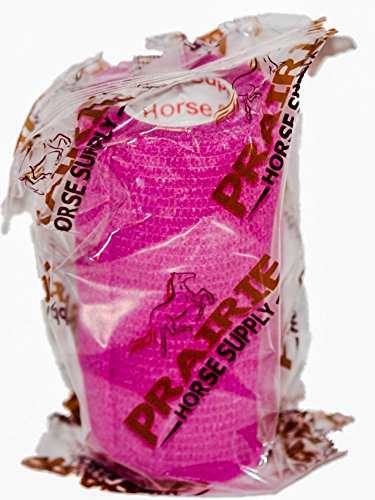 Vet Wrap Tape (Fuchsia) (2 Pack) (3 Inch x 15 feet) Self Adhesive Adherent Adhering Cohesive Flex Self Stick Bandage Grip Roll Dog Cat Pet Horse - color: Fuchsia, size: 2 Rolls