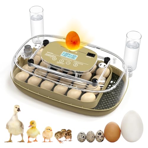 24 Egg Incubator for Hatching Eggs with Temperature and Humidity Control, LED Candling & Auto Turning for Chicken Duck Quail Birds, Ideal for Home Farm, Classroom, Beginners - color: Green