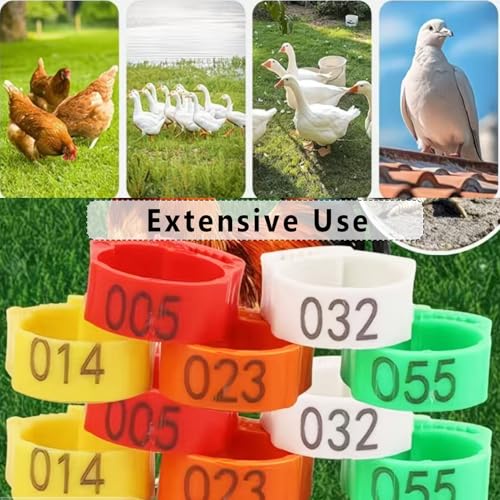 150 PCS Poultry Leg Bands, Adjustable Numbered Chicken Leg Rings for Identification, 5 Colors for Chickens, Ducks, Geese, Turkeys, Farm Management