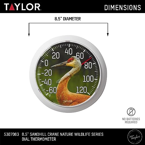 Taylor Nature Series Sandhill Crane Indoor Outdoor Dial Thermometer, Easy to Read Wall Decor for Patio, Pool, Yard, Garden or Garage, 8.5 Inch, Gray Bezel - style: Sandhill Crane