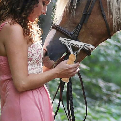 POPETPOP Horse Grooming Tool: Horse Mane and Tail Brush with Wood Handle - Combs for Pet Shedding, Dematting Brush Rake Comb for Sheep, Dog and Pet Grooming