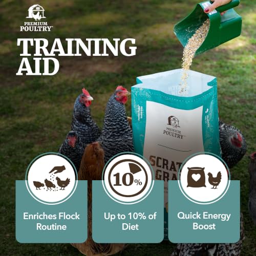 Scratch Grain for Chickens & Wildlife, 40lb, Made in USA | Natural Whole Grains, Supports Foraging & Energy, Encourages Pecking & Activity, Ideal for Mixed Poultry Flock - size: 40lb (Pack of 1), style: Scratch Grain
