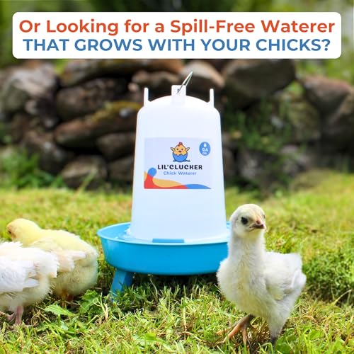 Lil'Clucker 1L Chick Feeder, 1.5L Chicken Waterer - No Leakage Chick Feeder and Waterer Kit, Durable Chicken Water Feeder, Chicken Feeder and Waterer Set, Poultry Waterer (Blue) - color: Blue