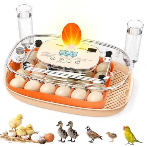 24 Egg Incubator with Automatic Turner Poultry Hatcher | Digital Temp Humidity Monitor, Low Humidity Alarm, External Water Bottles, Built-in Egg Candler for Chicken, Duck&Quail Eggs - color: Orange