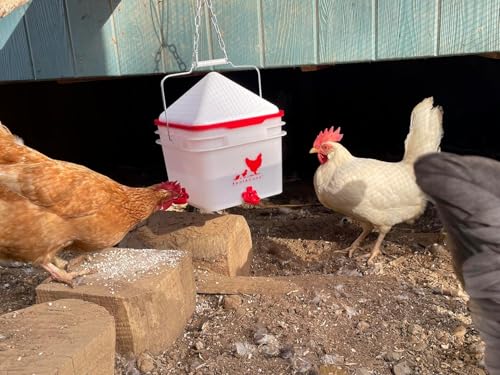 RentACoop Chick2Chicken 10lb Feeder & 2 Gal Waterer Set - 2025 Version - size: Without Stand