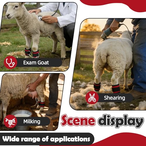 2PS Goat Binding Leg Restraint Anti-Kick Tool Adjustable with Metal Buckle | Hobbles Milking Restraints Durable Nylon Goat Milking Supplies Binding Straps Kit for Milking Stand,Milking,Training（Red）