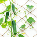 Jute Trellis Netting for Climbing Plants Heavy Duty Jute Plant Support Net for Garden Natural Jute Hemp Rope Net with 5.9 inch Mesh for Climbing Vining Plants, Cucumber, Tomatoes (6.5 * 10 FT) - size: 6.5*10 FT