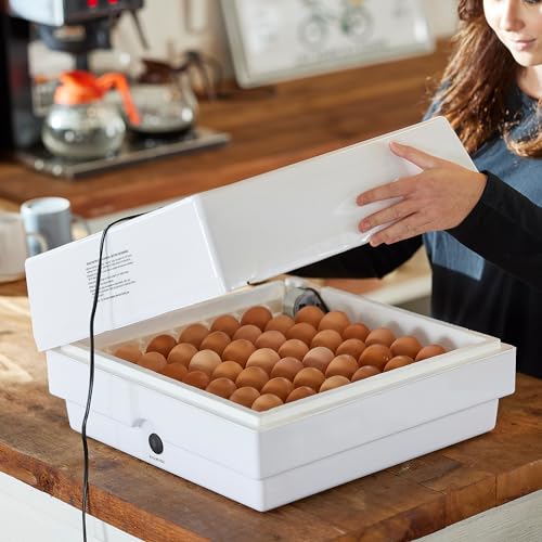 Farm Innovators Model 2450 Pro Series Digital Circulated Air Egg Incubator with Automatic Egg Turning and Humidity Control, 41 Egg Capacity | 4 dozen egg capacity; auto turner; integrated fan; digital display w/temperature, humidity, days to hatch; large