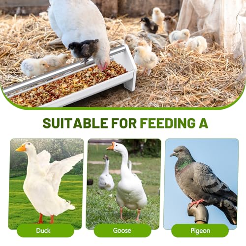 Reallnaive 2 Pack 47 in Plastic Chicken Feeder Trough, Stainless Steel Bars | Rust-resistant Plastic Body, Stainless Steel Anti-roost Bars, Easy to Clean, for Chickens, Ducks, Geese, Pigeons & Goats
