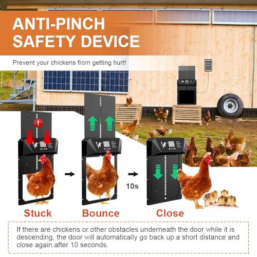 Large Size Automatic Chicken Coop Door Solar Powered,15.9"H x 12"L x 2.68"W,Aluminum Alloy Chicken Door with LCD Display,Timer & Light Sensor,4 Control Modes,Anti-Pinch Coop Door with Remote Control