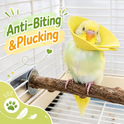 4Pcs Budgerigar Lovebird Bird Cone Collar | Bird Elizabethan Collar for Wound Biting Prevention&Feather Plucking, Protective Recovery Cone for Lovebird Cockatiel Parrots - size: S