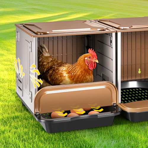 Chicken Nesting Box, 2 Compartment Nesting Boxes for Chickens, Large Chicken Laying Boxes for Egg Collection & Hen on Nest, Roll Away Nesting Boxes Chicken (Extra Large)