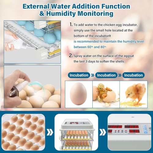 120 Egg incubators for Hatching Eggs with Automatic Turning & 5 Modes | Egg incubator with temperature control, incubation day tracking, smarts egg turning system and multi-poultry support - color: 120 Egg White