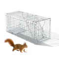 Outvita Live Animal Cage Trap, 32" Heavy Duty Folding Steel Cage | Catch Release Humane Rodent Cage for Rabbits Stray Cat Squirrel Raccoon Mole Gopher Chicken Opossum Skunk & Chipmunks