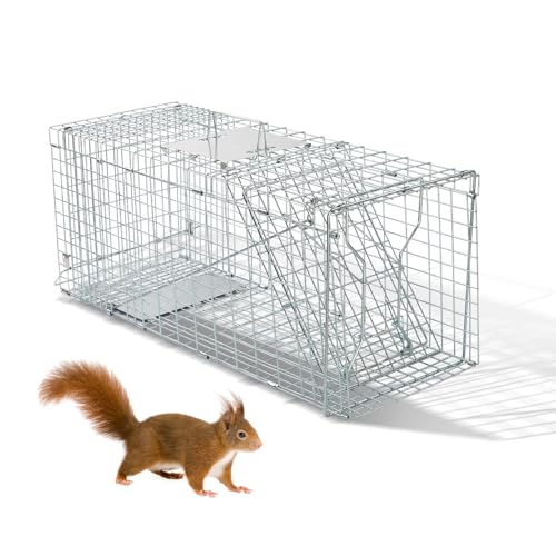 Outvita Live Animal Cage Trap, 32" Heavy Duty Folding Steel Cage | Catch Release Humane Rodent Cage for Rabbits Stray Cat Squirrel Raccoon Mole Gopher Chicken Opossum Skunk & Chipmunks