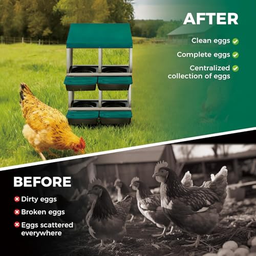 4 Hole Chicken Nesting Box, Heavy Duty Galvanized Steel Poultry Nest Box, Wall Mount/Freestanding Design for Hens, Ducks, Backyard Homesteads & Farm Use, Green, with Legs, No Stand - color: Green, size: 4 Room&Legs
