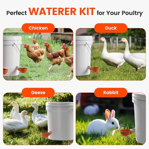 Eggluuz Chicken Waterer Cups, 6 Pack Automatic Chickens Water Cups for Poultry Orange