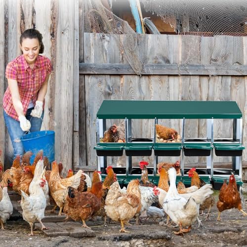 Chicken Nesting Box, 10 Compartments Roll Away Eggs Laying Boxes, Cleanable Pull Out Hen Roosting Boxes with Mental Leg, Durable & Easy to Install, Green - color: Green, size: 10 holes with legs