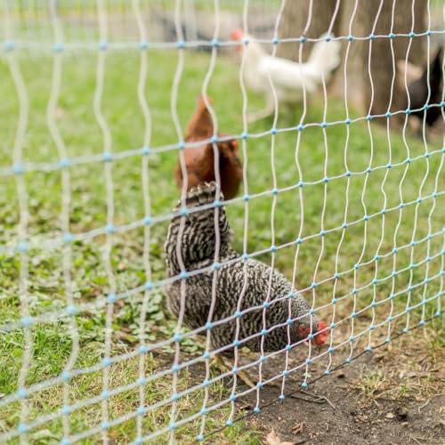 42" x 82' Electric Poultry Netting | Double Spiked Fiberglass Posts | Electric Fencing for Chickens in Backyards, Homesteads, Farms, and Ranches