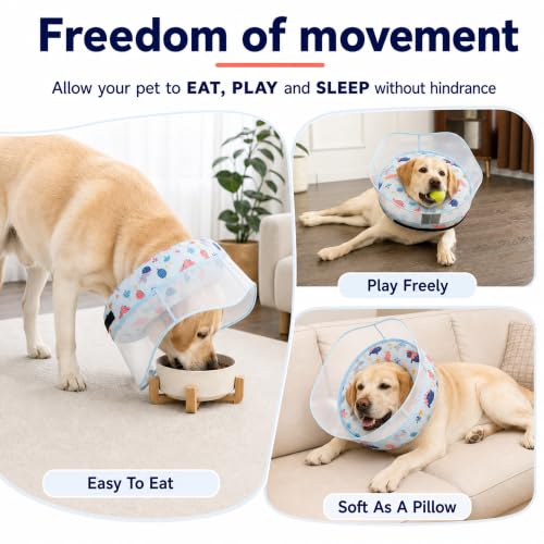 Inflatable Dog Cone Collar for Large Medium Small Dogs, Soft Dog Donut Collar Adjustable Recovery Cone for Pets After Surgery, Extra Enhanced Anti-Licking Guard Shield (Dinosaur, Medium Plus) - color: Dinosaur, size: Medium Plus
