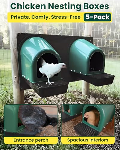 Roll-Out Chicken Nesting Boxes - 5-Pack Plastic Nest Boxes for Chickens, Hens & Ducks - Egg Laying Boxes with Perch and Roll Away Egg Collection for Coop