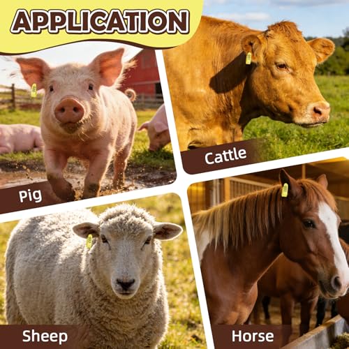 100PCS Livestock Ear Tags Sheep Goat 001-100 Numbered with Applicator Kit | with Punch Plier Tool, Laser Printed Plastic Tags for Goats Sheep Pigs Farm Herd Management Identification (Yellow) - color: Yellow
