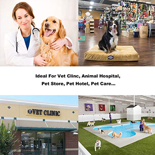 700lbs Vet Animal Scale/Livestock Scale, Digital Weighing Equipment for Small to Medium Sized Animals Calf/Goat/Sheep/Pigs/Dogs/Cat or Pets (38"x20"x2") - size: 18″ x 18″ x 2″