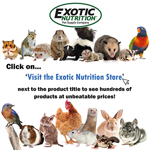 Wonder Nipple - Nursing Nipple for Baby Animals - Handfeeding Baby Squirrels, Sugar Gliders, Hedgehogs, Guinea Pigs, Raccoons, Prairie Dogs, Opossums, and More! (Short)
