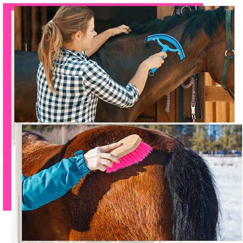 Abbylike 12 Pieces Horse Grooming Kit Racing Festival Tack Room Supplies Horse Brush Sets Equine Care Cleaning Kit Shedding Grooming Massaging Tools(Rose Red) - color: Rose Red