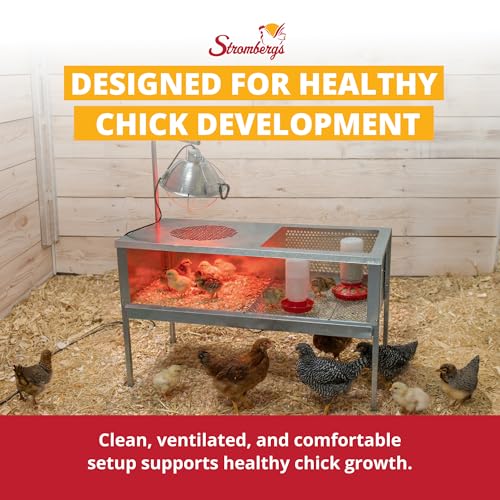 Stromberg's Stand Up Chick Brooder, Elevated Chicken Brooder Pen with Lamp Stand, Removable Tray, Wire Floor, Ventilated Steel Design, Raised Frame for Easy Cleaning and Chick Care | With Lamp Stand, Removable Tray, Wire Floor, Ventilated Steel Design, Ra