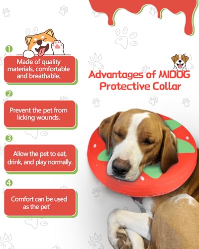 MIDOG Inflatable Dog Cone, Donut Recovery Collar After Surgery, X-Small | Soft inflatable donut e-collar; stops licking after surgery; pet eats & sees normally; neck 6-9 in (XS); not for chewers - color: Tomato, size: X-small (Neck:6"-9")