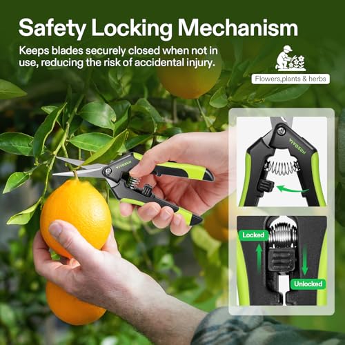 VIVOSUN 6.5 Inch Garden Scissors, Black Pruning Shears for Plants, 2-Pack | Straight Precision Stainless Steel Blades, Comfort Ergonomic Grips, Ideal Snip for Deadheading, Trimming & Shaping Plants - style: Black Straight Blade