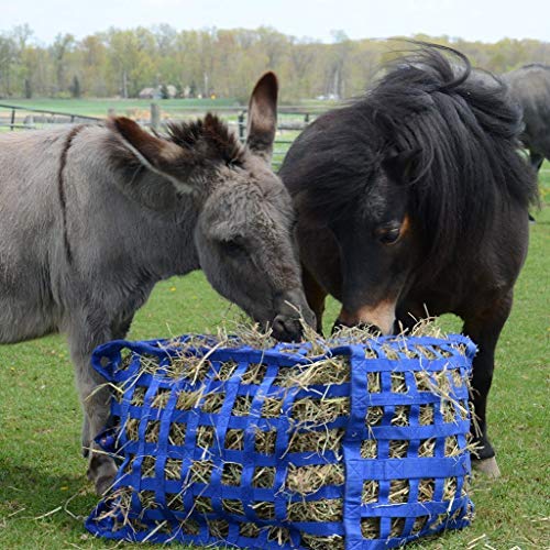 Derby Originals Natural Grazer Patented Four Sided Slow Feed Horse Hay Bag with One Year Warranty - color: Red