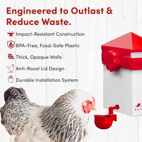 RentACoop Chick2Chicken 2.5lb Medium Port Feeder and 64oz Drinker Set