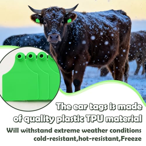Blank Cattle Ear Tags 100PCS TPU Oversize 4.1x3 Inch Livestock Tags | Identification Tags for Cows Calves Cattle Goats Sheep Pigs Hog Fade Resistant Farm Animal Management (Green) - style: Green