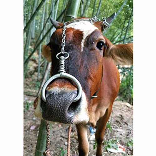Stainless Steel Bovine Nose Ring - Automatic Spring Nose Pliers & Clamp for Cows and Other Farm Animals